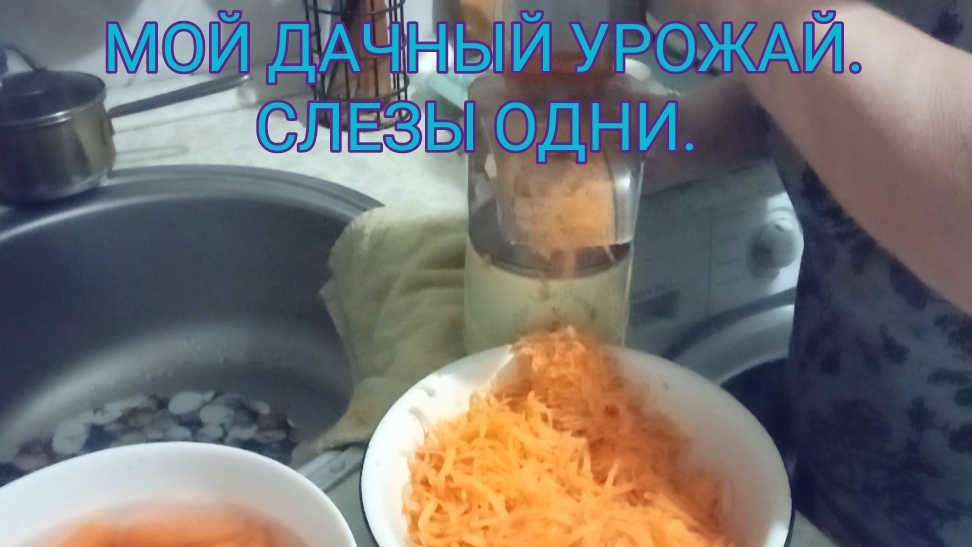 Мой дачный урожай. Одни слезы!