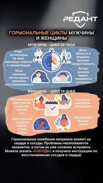 Гормональные циклы мужчины и женщины