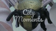 City Moments