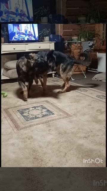 борьба титанов