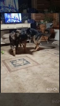 борьба титанов