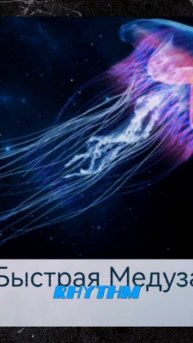 Горилла Алмаз медуза