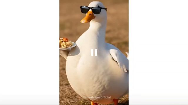 угарные гуси,🦢 chicken. 🐔
