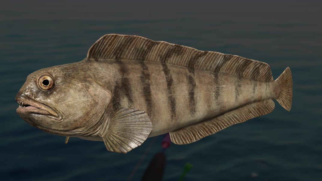 РР 4 ! Море !!!