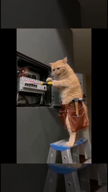 Самый лучший электрик 😂