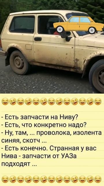 Есть запчасти на Ниву?