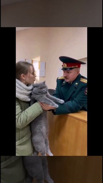 Кота забирают в армию 😯