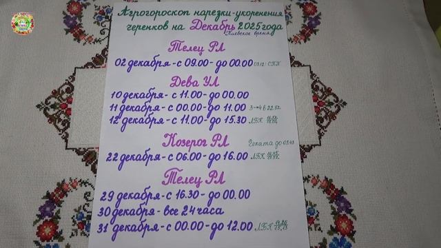 Декабрь 2025: Самые Лучшие Дни Для Укоренения Черенков Растений!