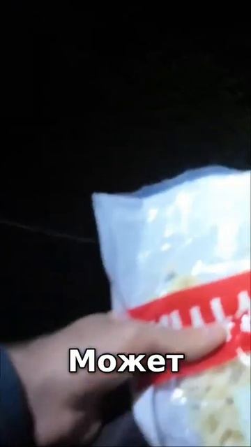 Кто знает, что за животное? Напишите👇👇 Смотри полное видео из Южной Кореи в Ютубе 👉 "Дима Викулин...