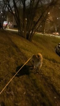 продолжение часть 2