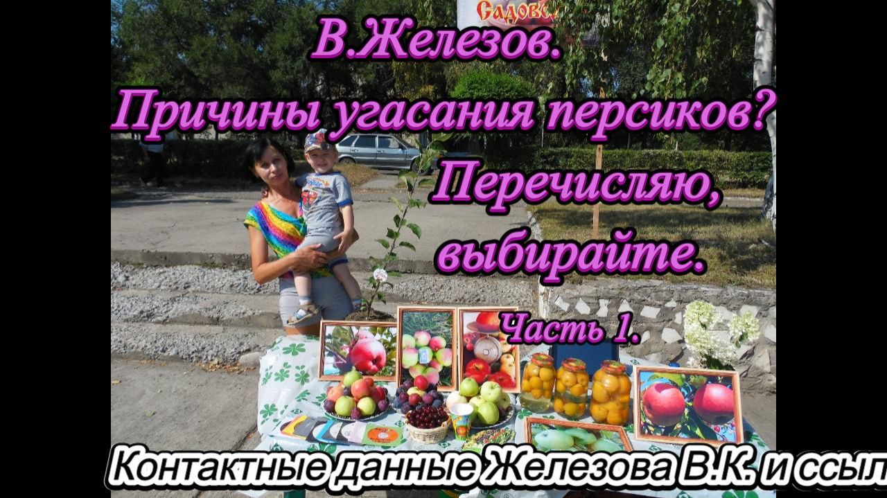 В.Железов. Причины угасания персиков? Перечисляю, выбирайте. Часть 1.