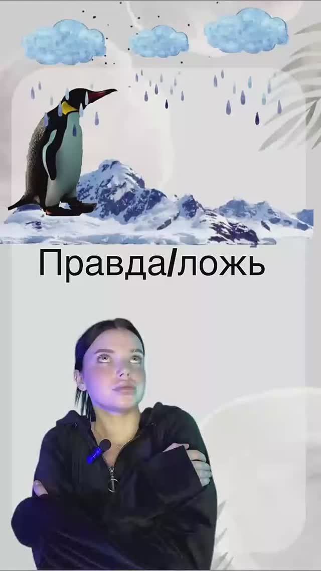 Подпишись, чтобы не пропустить новые видео❤️