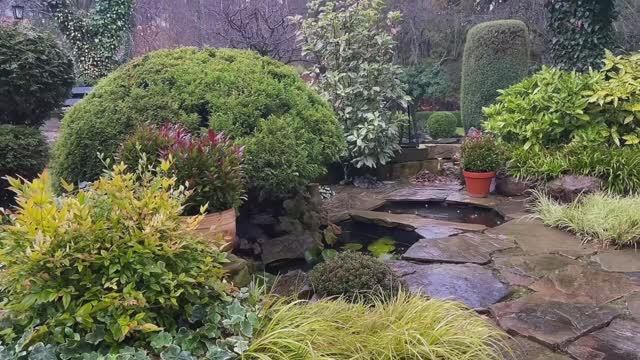 ОЧЕНЬ КРАСИВЫЙ ЧАСТНЫЙ САД В НОЯБРЕ