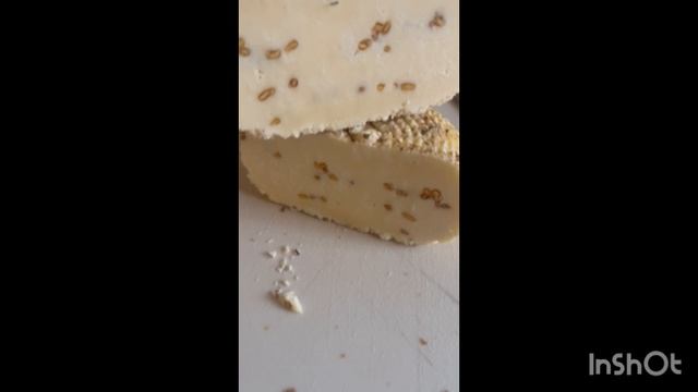 19-11-2025 СЫР ДОМАШНИЙ С ПАЖИТНИКОМ 👍/жизнь здесь и сейчас ❤️❤️❤️