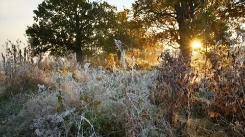 Немного из жизни... Ноябрь