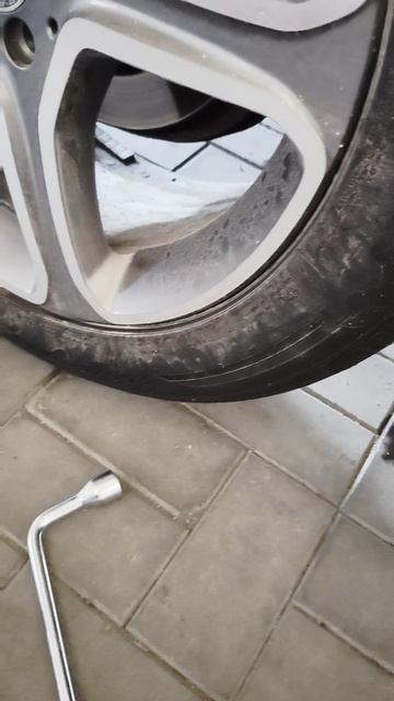 petal_hdr_20251119_125907.mp4