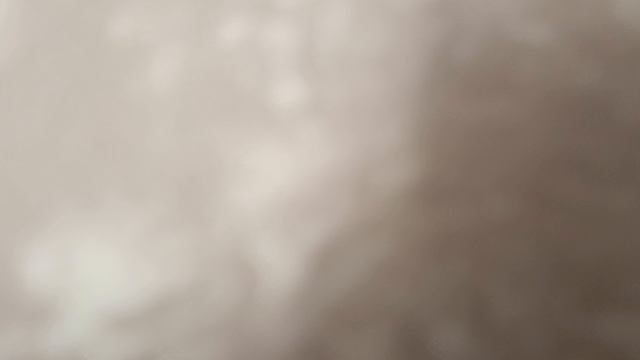 кот батон 2 сезон 1 серия пилотная серия.