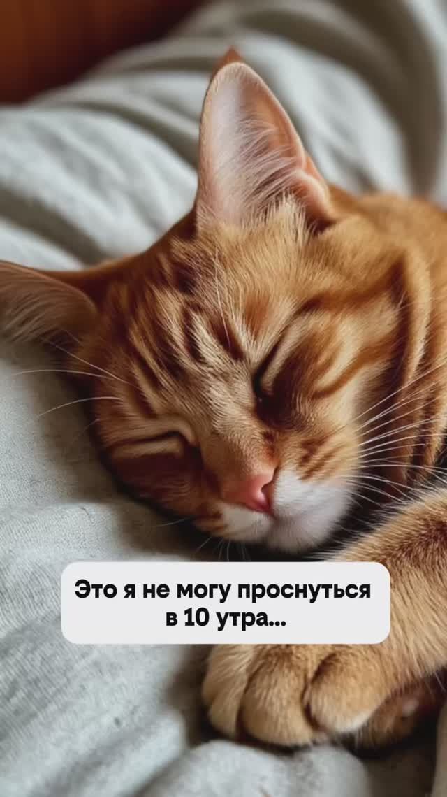 Сладкий сон 😴 #туры #горящиетуры #путешествия