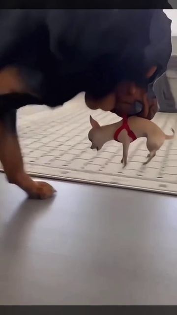 Когда достала.