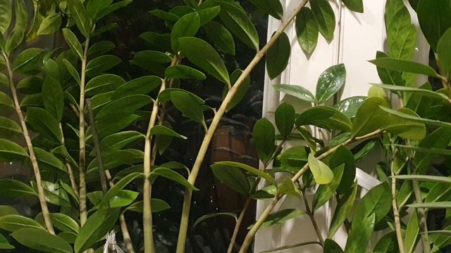 Ноябрь беснуется...