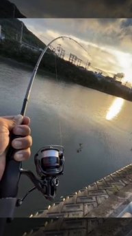 Поклёвка на спиннинг. Просто поклёвка...