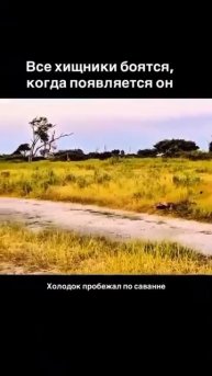 Дядя Алик)))