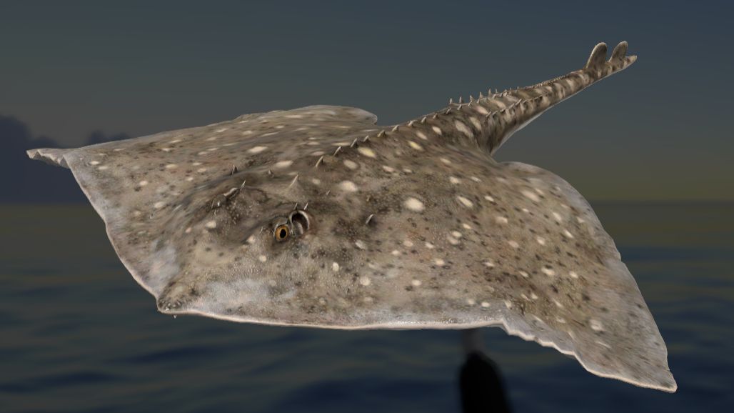 Русская Рыбалка 4! Море 34 банка !!!