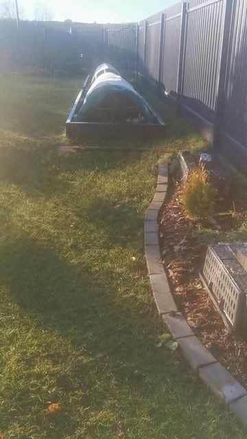 Первый снег на востоке Ленинградской области 14.11.2025