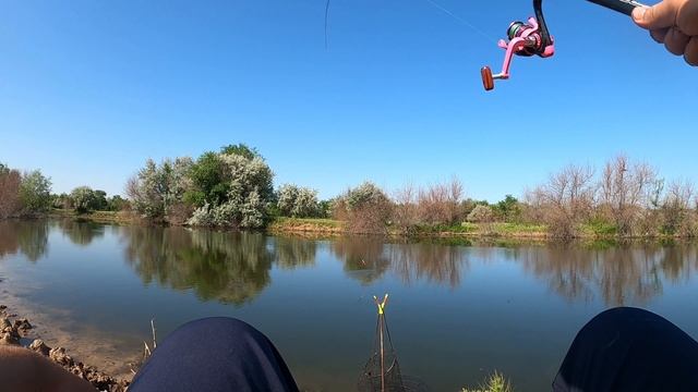 Ловля карася на попловочку и донку