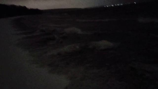 Снежный шторм на море: Талси Габбард - директор Нацразведки США. Разведсообщество США, ведомства