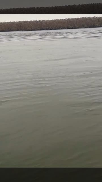 Похоже такого счастья на рыбалке ещё не испытывал никто и никогда!.