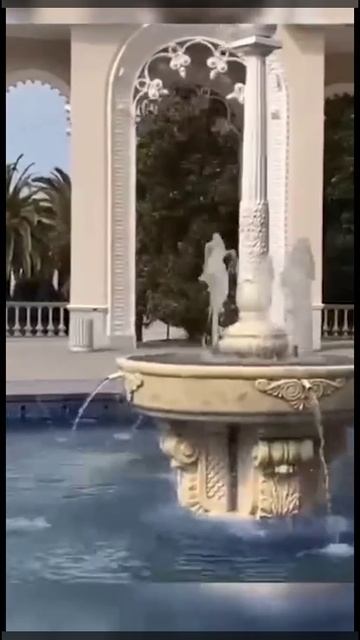 КРАСНЫЕ КАННЫ в НОЯБРЕ