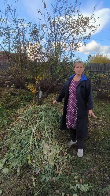 Куда деть ботву