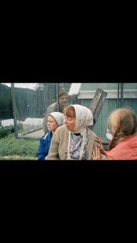 Любовь и голуби #кино #комедия #смешно #смех #советскоекино #любовь #фильм #юмор #юмордня