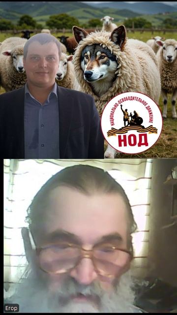 Роман Зыков предложил Кобзеву оформить юридическое лицо РАДИО НОД. Кобзева не позвали#shorts