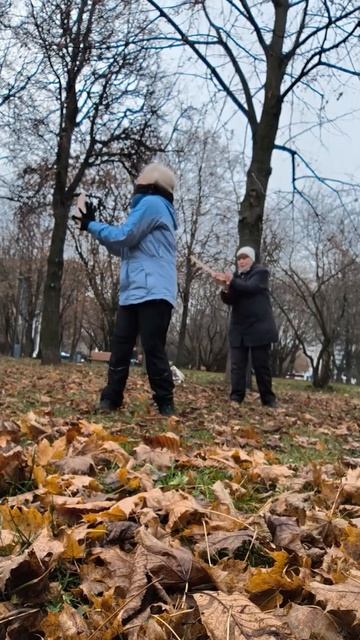 12 ноября 2025 г.