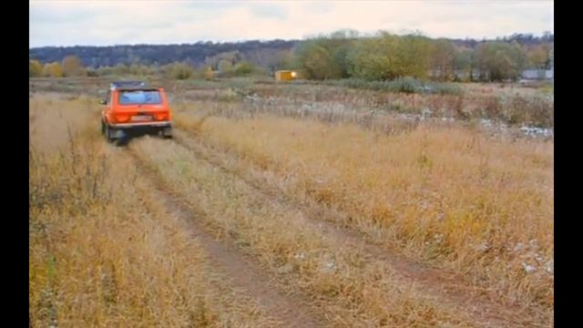 ДМБ триколор из нив