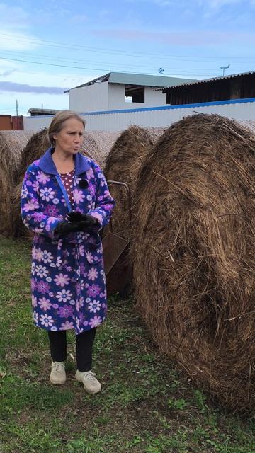 Сено для мульчирования