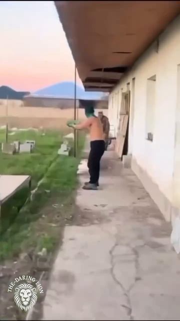 😁 #shorts #tiktok #top