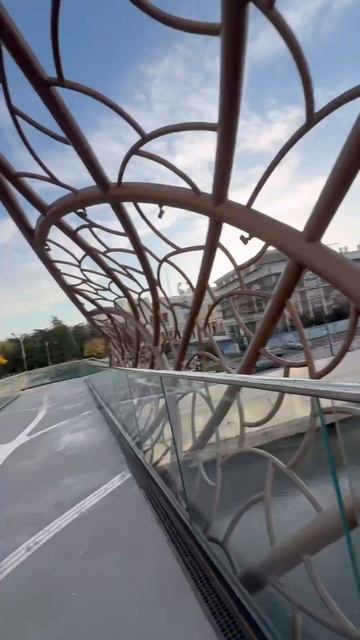 Красота! Сочи ноябрь 2025