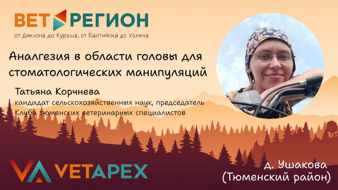 ВетРегион. Татьяна Кочнева "Аналгезия в области головы для стоматологических манипуляций"