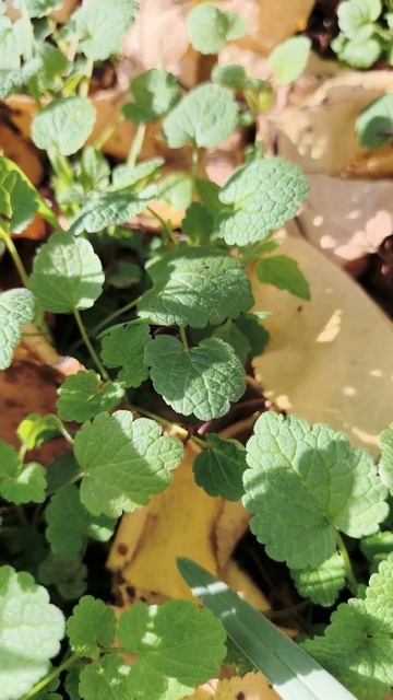 20.11.2025 #сегоднятак #природа #прырода #табиғ #自然 #natureza #natura #자연 #طبيعة #प्रकृति #nature