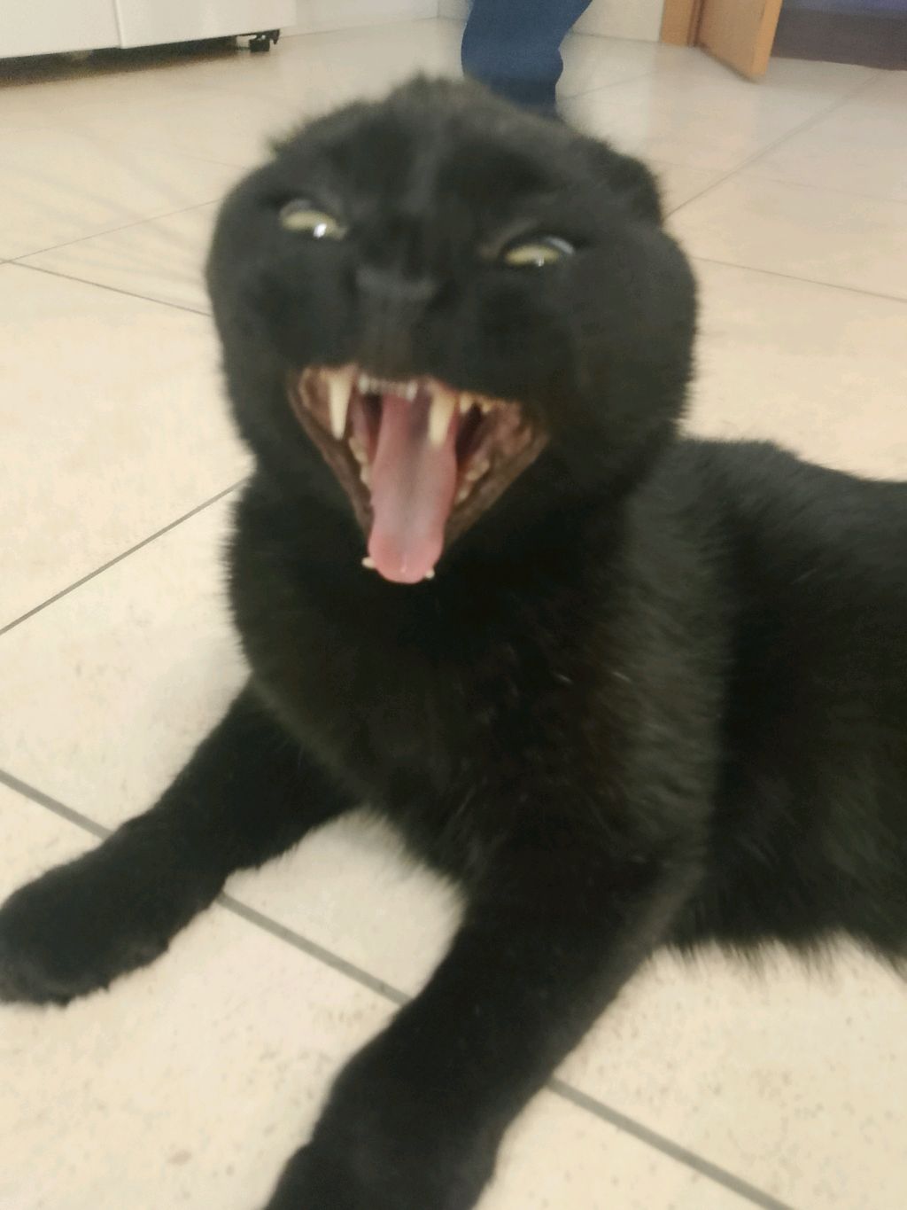 Трансляция