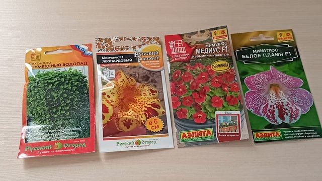 Лучшие растения для выращивания в саду и дома в кашпо.20.11.2025