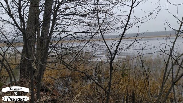 Озеро Воймега. Первый лёд