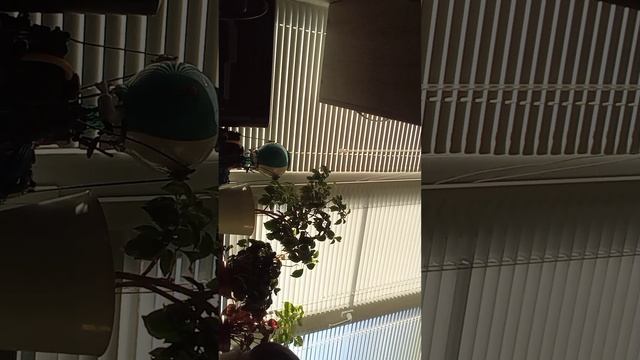 Я заболел (день от моего лица