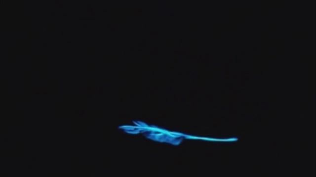 НЕВЕРОЯТНОЕ ПРЕДСТАВЛЕНИЕ СВЕТОВЫХ КУКОЛ