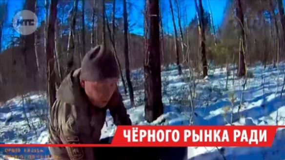 Мужчину с оружием задержали в Прибайкальском нацпарке