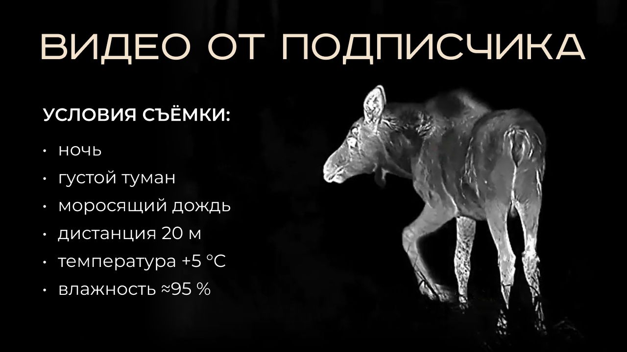 Что «видит» охотник через тепловизор ATOMOS 2×35 мм 640×512?