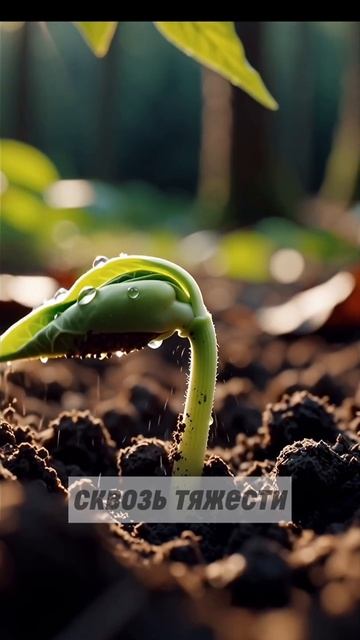 Дух природы